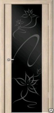 Дверь с отделкой Экошпон Сан-Ремо 1 "Симфония" (черный триплекс) г. Новосиб