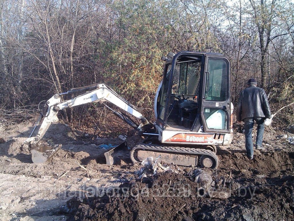 Аренда спецтехники в Витебске по выгодной цене - заказать на Пульсе цен