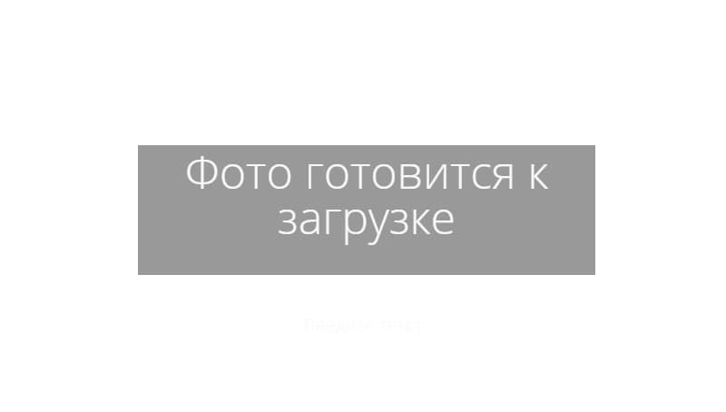 Герметик Рабберфлекс PRO PU-25 600мл (серый) С-000159263
