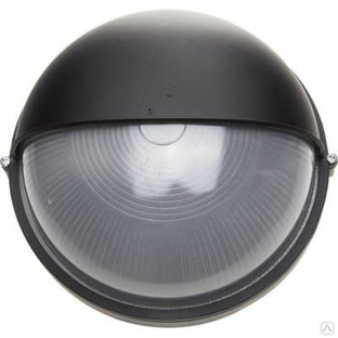 СВЕТОЗАР 100 Вт IP54, черный, влагозащищенный, светильник уличный SV-57263-B 