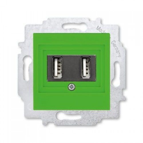 USB зарядка двойная ABB Levit зелёный 8235466