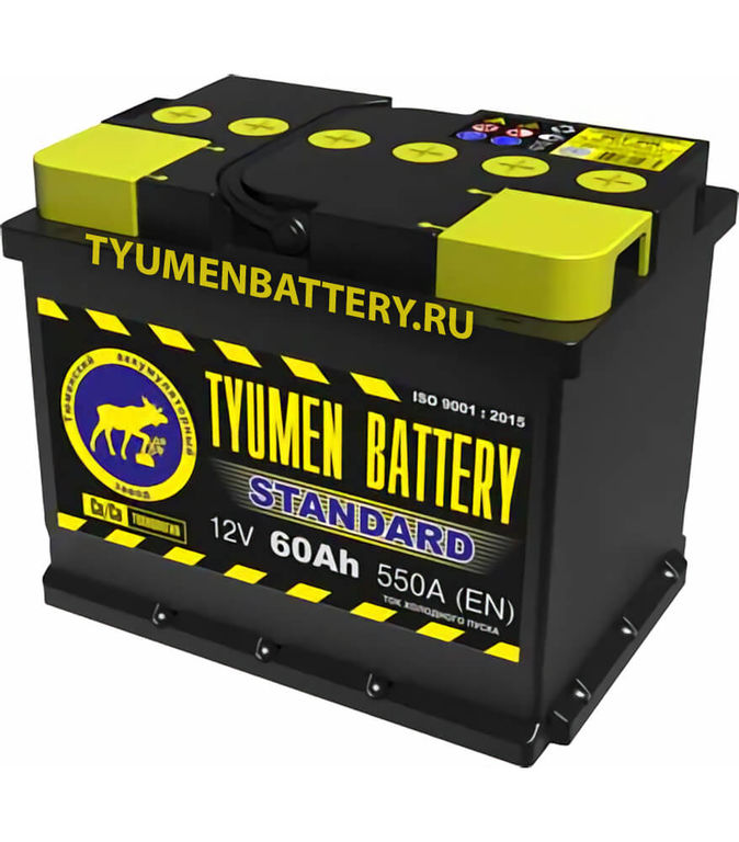 Tyumen Battery Лидер 6мтс 9