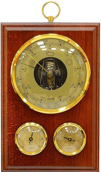 БРИГ БМ93301-ТГБ-М барометр