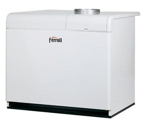 Ferroli PEGASUS F3 N 221 2S (0E2LEAWA) напольный газовый котел