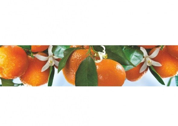 Панель АБС Фотопечать "Спелые мандарины" (фартук) (3,0*0,6м) *1